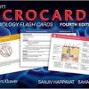 Lippincott Microcards: Microbiology Flash Cards Fourth Edition