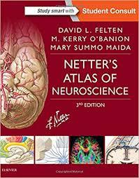 Netter’s Atlas of Neuroscience, 3e
