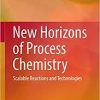 New Horizons of Process Chemistry: Scalable Reactions and Technologies 1st