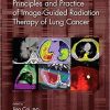 Principles and Practice of Image-Guided Radiation Therapy of Lung Cancer (Imaging in Medical Diagnosis and Therapy) 1st