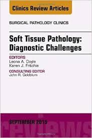 Soft Tissue Pathology: Diagnostic Challenges, An Issue of Surgical Pathology Clinics, (The Clinics: Surgery)