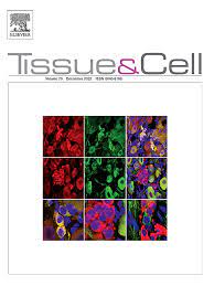 Tissue and Cell – Volume 79 2022 PDF