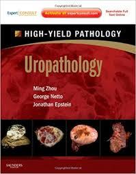 Uropathology: A Volume in the High Yield Pathology Series (Expert Consult – Online and Print), 1e