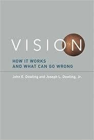 Vision: How It Works and What Can Go Wrong (MIT Press)