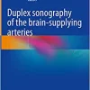 Duplex sonography of the brain-supplying arteries (Original PDF from Publisher)
