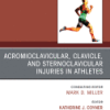 Clinics in Sports Medicine: Volume 42 (Issue 1 to Issue 2) 2023 PDF