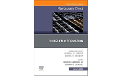 Neurosurgery Clinics of North America: Volume 34 (Issue 1 to Issue 4) 2023 PDF