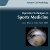 Operative Techniques in Sports Medicine: Volume 31, Issue 1 2023 PDF