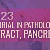Tutorial In Pathology of the GI Tract, Pancreas, and Liver 2023