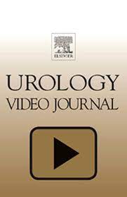 Urology Video Journal: Volume 1 to Volume 4 2019 PDF