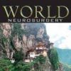 World Neurosurgery: Volume 145 to Volume 156 2021 PDF