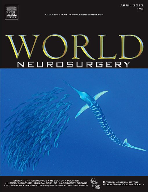 World Neurosurgery: Volume 169 to Volume 180 2023 PDF