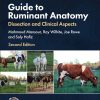 Guide to Ruminant Anatomy: Dissection and Clinical Aspects, 2nd Edition (EPUB)