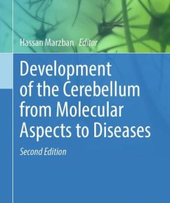 Development of the Cerebellum from Molecular Aspects to Diseases, 2nd Edition (EPUB)