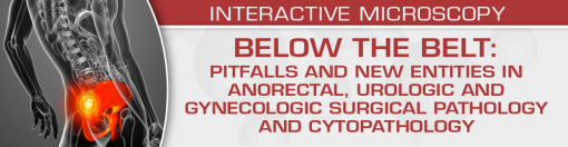 BELOW THE BELT: Pitfalls and New Entities in Anorectal, Urologic and Gynecologic Surgical Pathology and Cytopathology (Uscap Course)