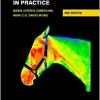 Equine Thermography In Practice, 2nd Edition (EPUB)