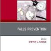 Falls Prevention, An Issue of Clinics in Geriatric Medicine (Volume 35-2) (PDF)