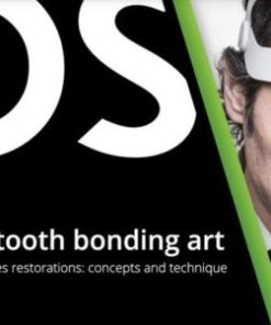 Hirata’s Tooth Bonding Art – Adhesive Composite Restorations: Concept and Technique (Audio Portuguese with English subtitles) (Course)