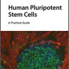 Human Pluripotent Stem Cells: A Practical Guide (PDF Book)