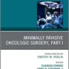 Minimally Invasive Oncologic Surgery, Part I, An Issue of Surgical Oncology Clinics of North America (Volume 28-1) (The Clinics: Surgery, Volume 28-1) (PDF)