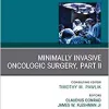 Minimally Invasive Oncologic Surgery, Part II, An Issue of Surgical Oncology Clinics of North America (Volume 28-2) (The Clinics: Surgery, Volume 28-2) (PDF)