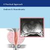 MRI of the Prostate: A Practical Approach (PDF)