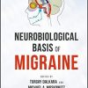 Neurobiological Basis of Migraine (New York Academy of Sciences) (EPUB)