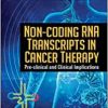 Non-coding Rna Transcripts in Cancer Therapy: Pre-clinical and Clinical Implications (PDF)