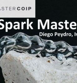 Spark MasterCoip – Diego Peydro, Iván Malagón (Course)