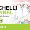 Zucchelli Channel, Soft Tissue Esthetic Surgery – Giovanni Zucchelli (italiano) (Course)