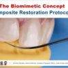 The Biomimetic Concept Composite Restoration Protocols (Course)