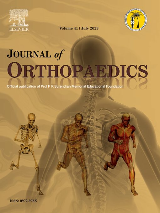 Journal of Orthopaedics: Volume 17 to Volume 22 2020 PDF