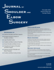 Journal of Shoulder and Elbow Surgery: Volume 31 (Issue 1 to Issue 12) 2022 PDF