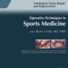 Operative Techniques in Sports Medicine: Volume 28 (Issue 1 to Issue 4) 2020 PDF