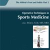 Operative Techniques in Sports Medicine: Volume 29 (Issue 1 to Issue 4) 2021 PDF