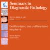 Seminars in Diagnostic Pathology: Volume 38 (Issue 1 to Issue 6) 2021 PDF