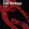 Trends in Cell Biology: Volume 30 (Issue 1 to Issue 12) 2020 PDF