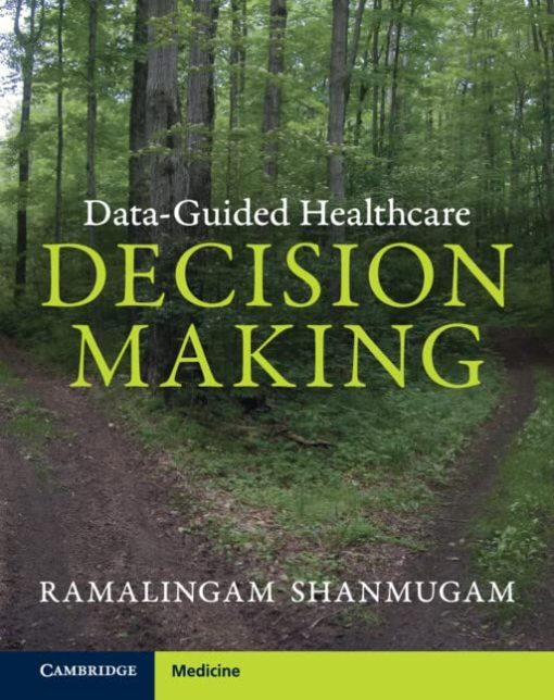 Data-Guided Healthcare Decision Making (PDF)