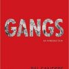 Gangs: An Introduction (PDF)