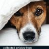 How To…collected articles from BSAVA Companion 2016-2020 (PDF)