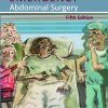 Schein’s Common Sense Emergency Abdominal Surgery, 5th Edition (EPUB)