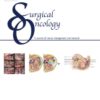 Surgical Oncology: Volume 40 to Volume 45 2022 PDF