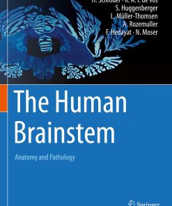 The Human Brainstem (PDF)