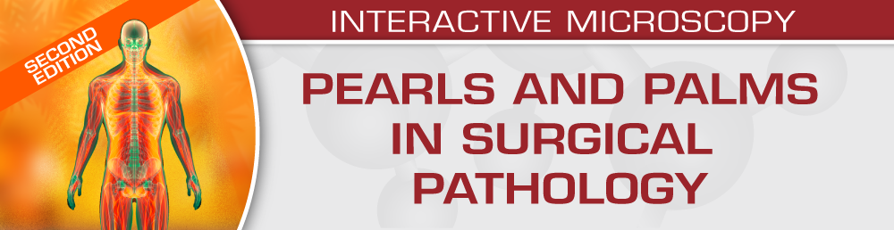 Second Edition: Pearls and Palms in Surgical Pathology 2023
