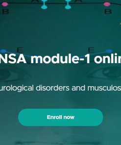 YNSA module-1 online