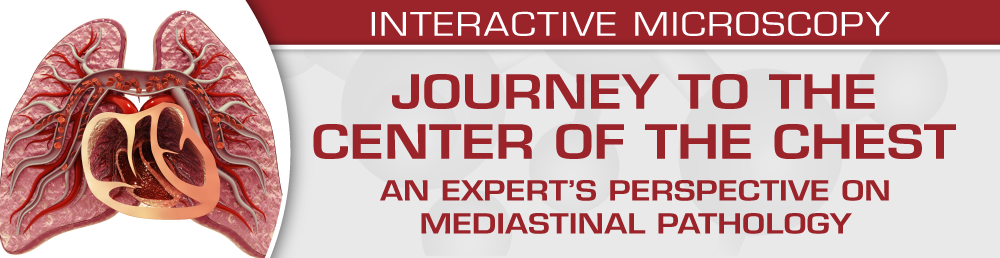 Journey to the Center of the Chest: An expert’s perspective on mediastinal pathology 2023