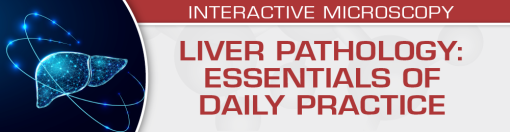 Liver Pathology Essentials of Daily Practice