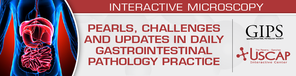 Pearls, Challenges and Updates in Daily Gastrointestinal Pathology Practice 2024