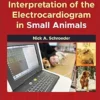 Interpretation Of The Electrocardiogram In Small Animals (EPUB)