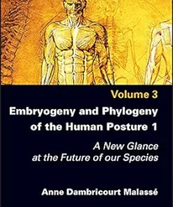 Embryogeny And Phylogeny Of The Human Posture 1: A New Glance At The Future Of Our Species, Volume 3 (EPUB)